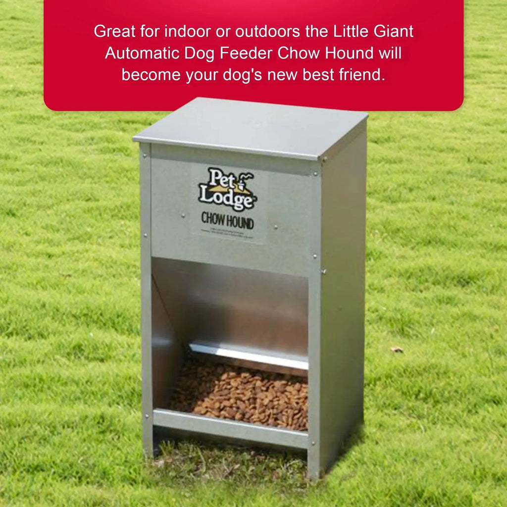 Automatic Pet Lodge Steel Dog Feeder with 25-Pound Capacity Miller Manufacturing Company