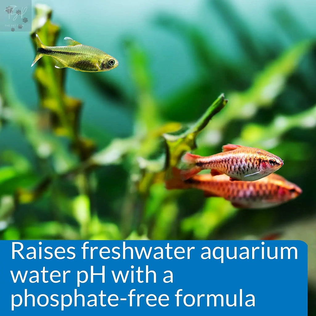 API pH Up Freshwater Aquarium pH Raising Solution - 16 oz Bottle Mars Fishcare