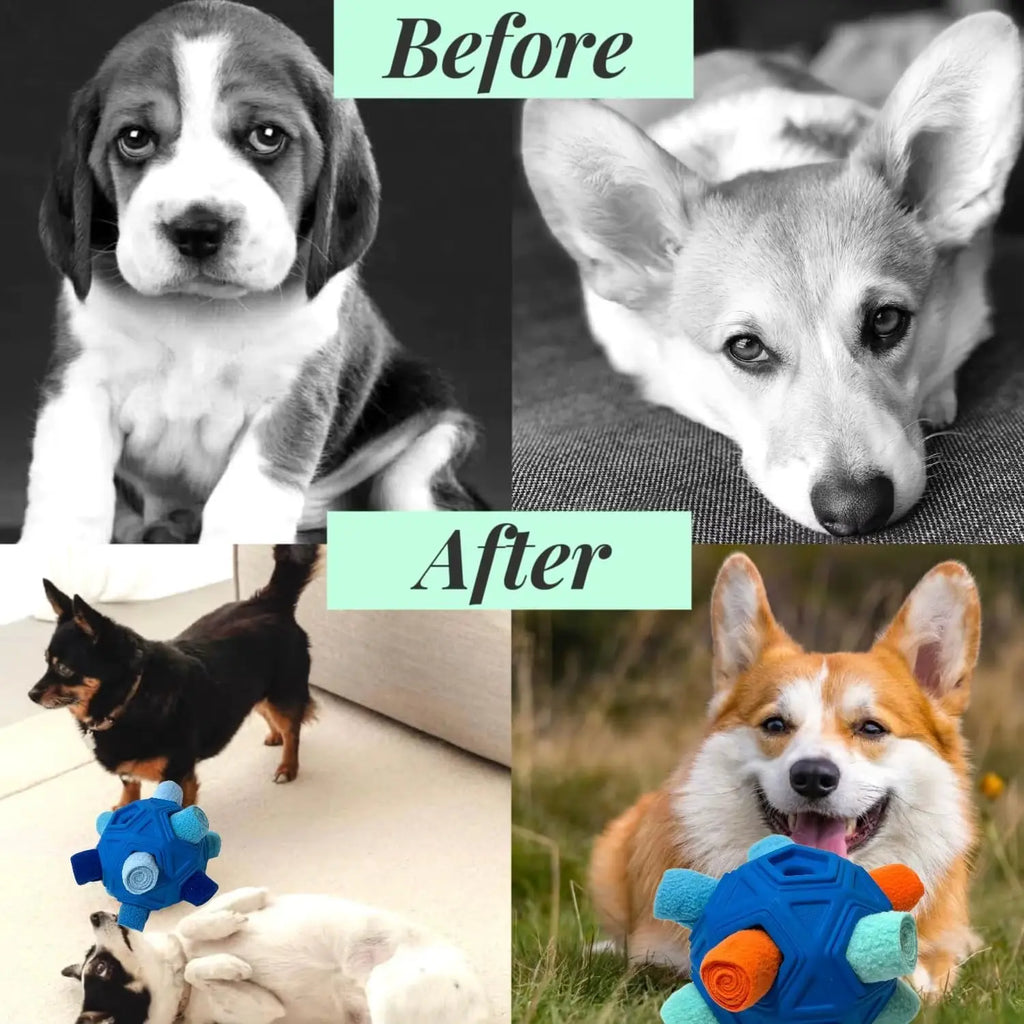 Revolutionary Unbreakable Snuffle Ball for Dogs - Engage, Play, and Feed with This Interactive Treat Dispenser NONE