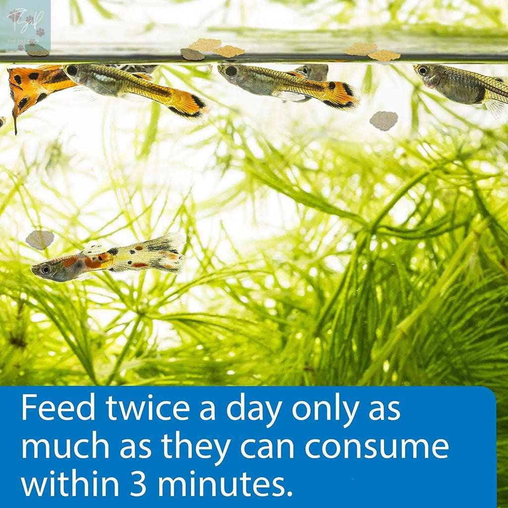 API Tropical Greens Flakes Fish Food for Tropical Fish, 2.1-Ounce Container Mars Fishcare