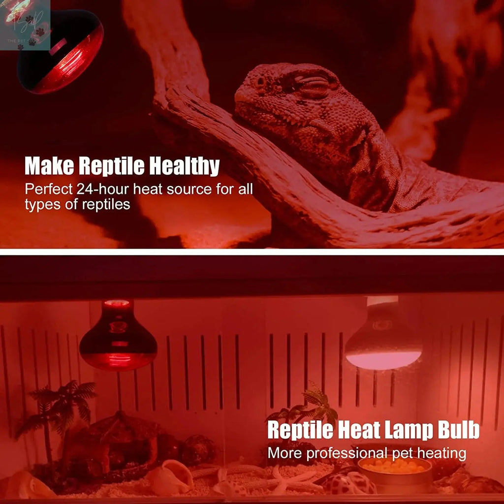 ECOSUB Reptile Heat Lamp 100W, 2Pcs E26 Basking Spot Light, Infrared Heat Lamp, Red bearded dragon tank accessories