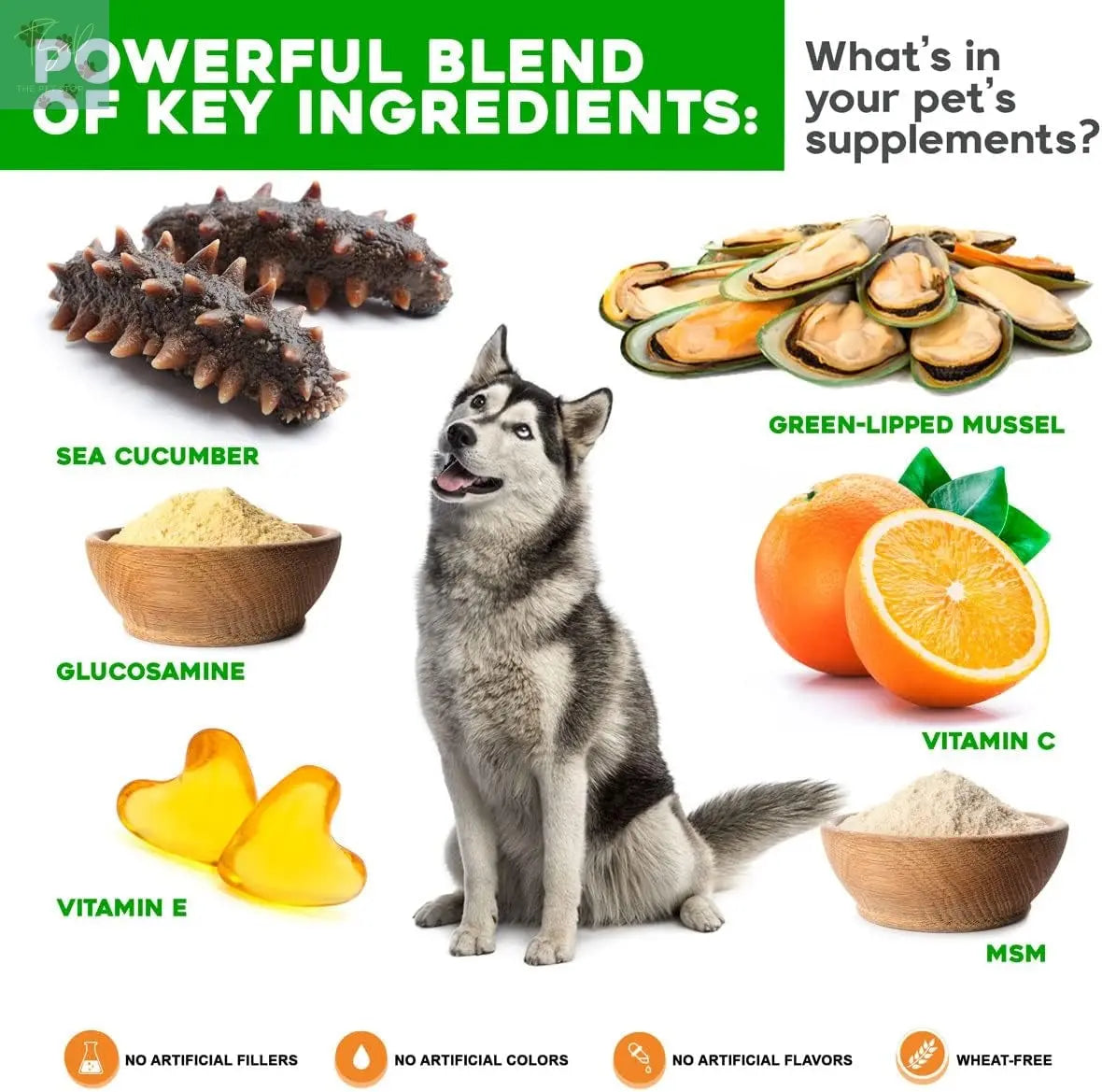 Vetsmart Formulas Advanced Hip and Joint Tablets with MSM and Green Lipped Mussels - Natural Relief for Canine Joint Discomfort Pet Wellness Direct