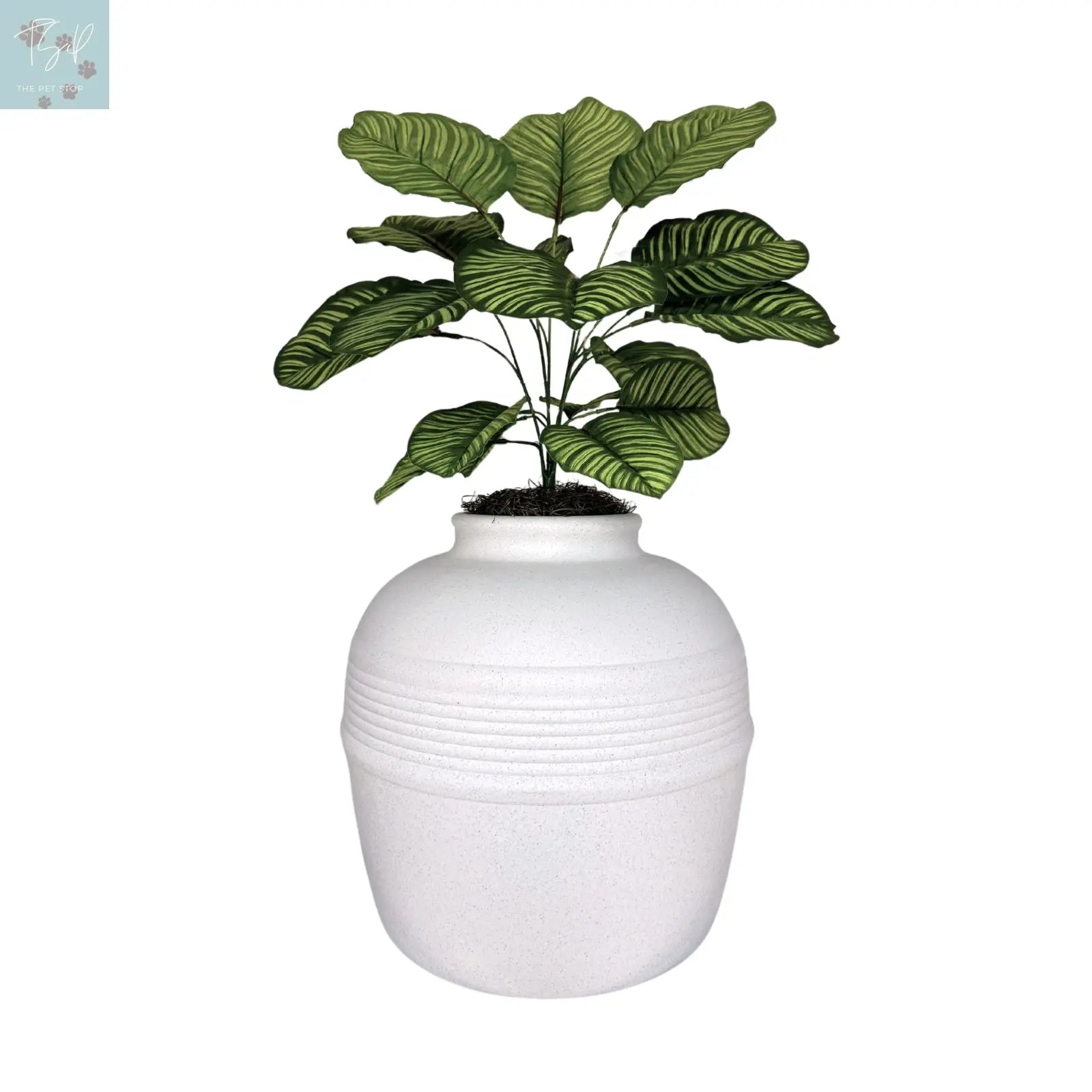 Discreet Litter Box Planter with Hooded Design and Artificial Plant for Pets Does not apply
