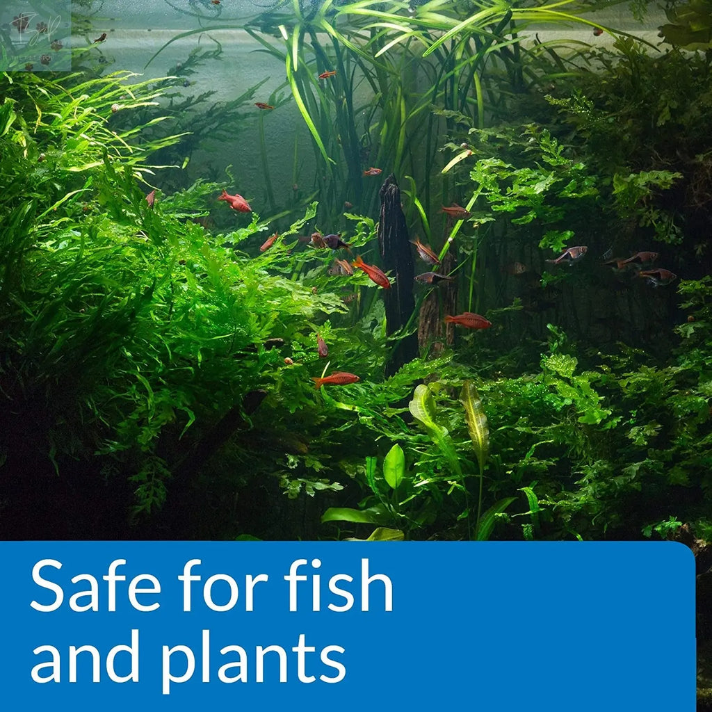 API pH Up Freshwater Aquarium pH Raising Solution - 16 oz Bottle Mars Fishcare