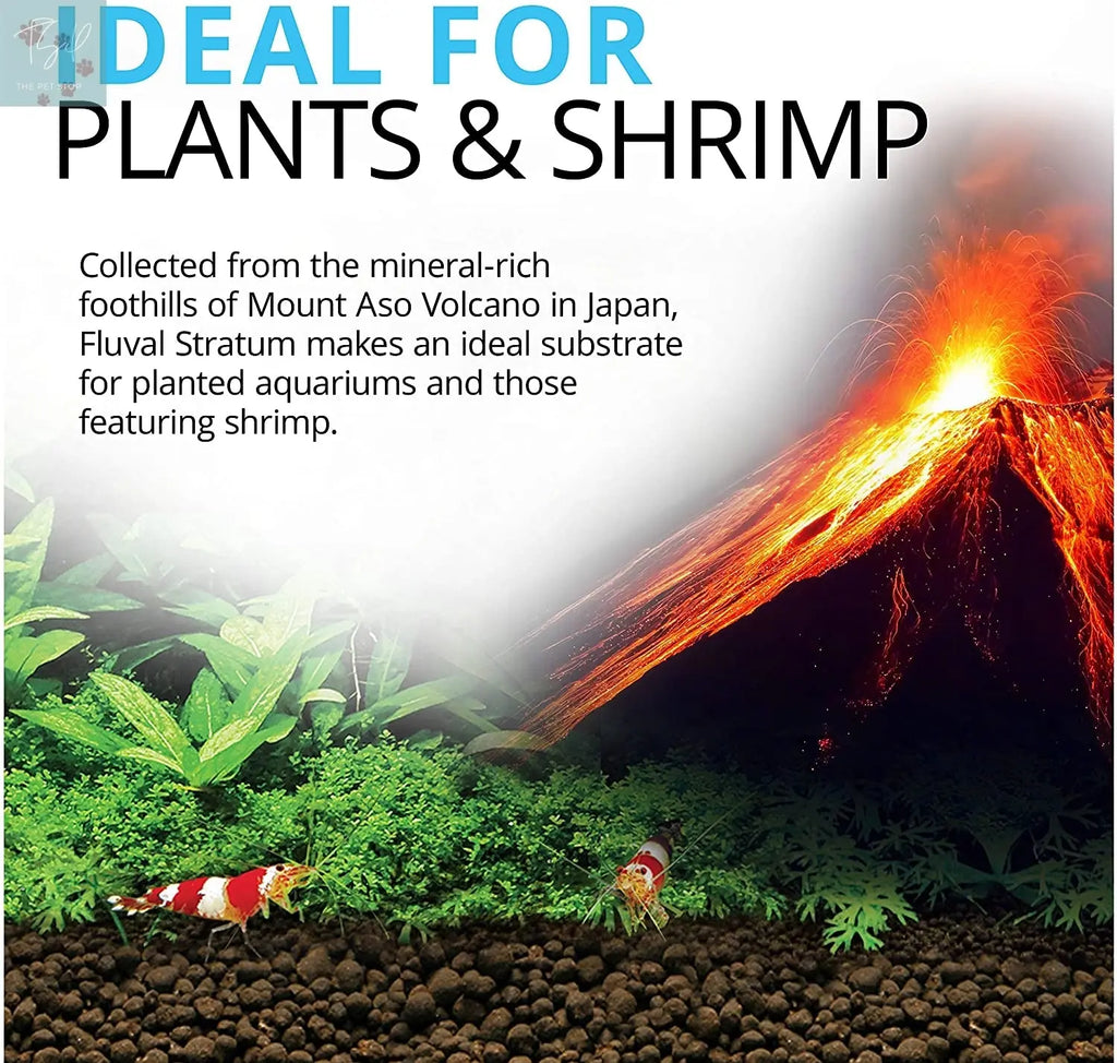 Fluval 12694 Plant and Shrimp Stratum for Freshwater Aquariums, 8.8 lbs – Optimal Substrate for Enhanced Plant Growth and Neutral to Slightly Acidic pH Support Rolf C. Hagen (USA) Corp.