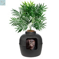 Discreet Litter Box Planter with Hooded Design and Artificial Plant for Pets Does not apply