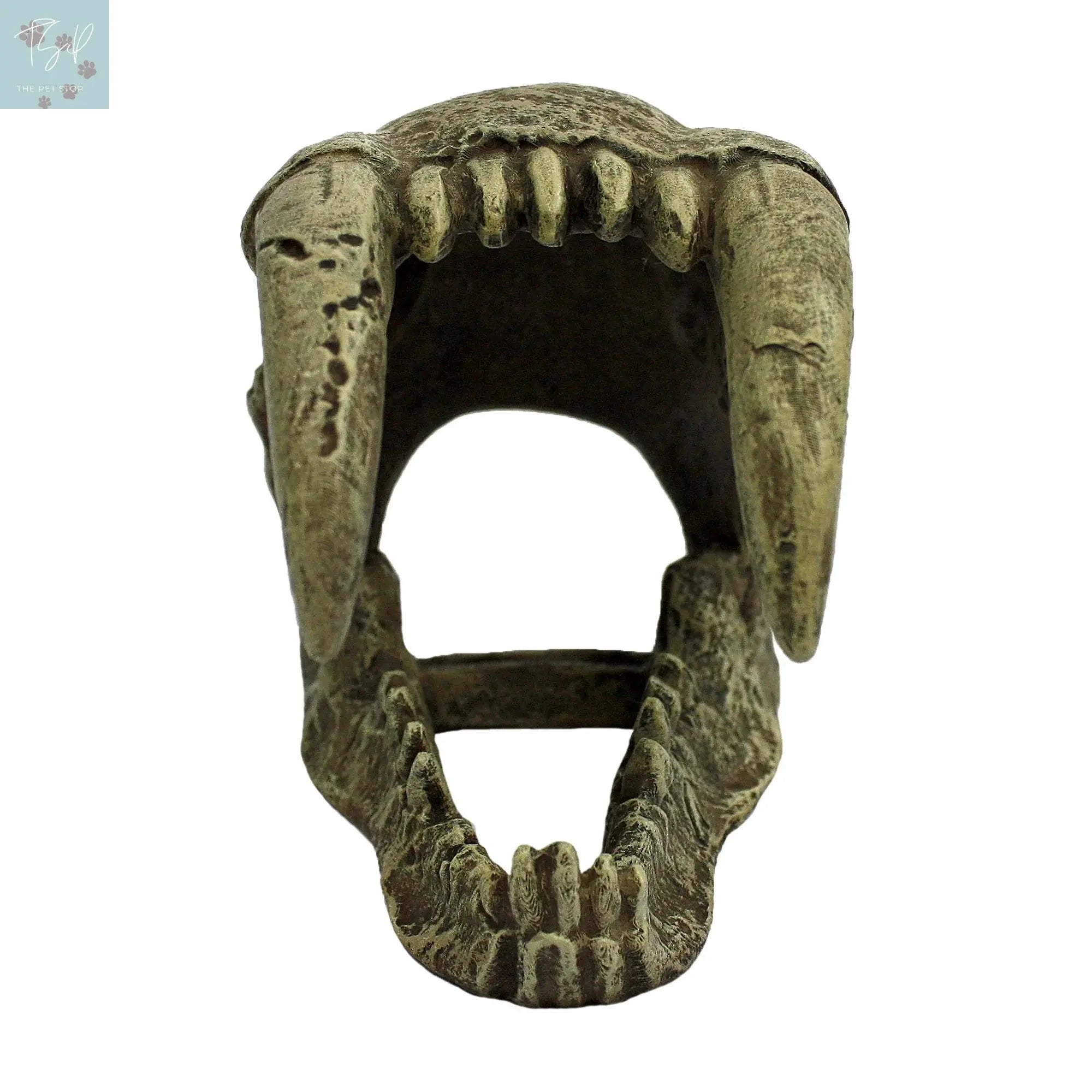 Komodo Saber Tooth Skull Decor for Aquarium or Reptile Tank, Polyresin, Aquarium Decor, Bone Color Multipet International, Inc.