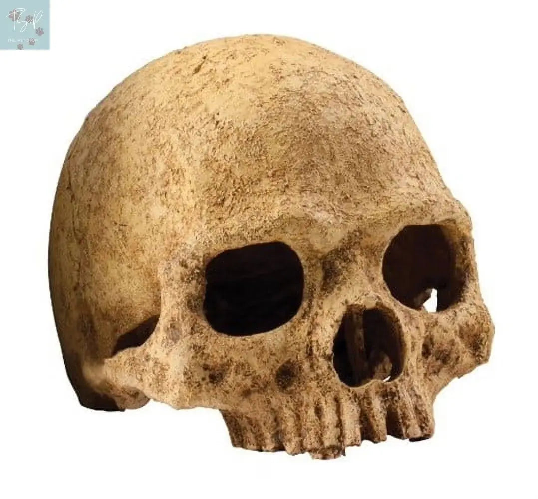 Exo Terra Primate Skull Reptile Terrarium & Aquarium Decoration Hagen