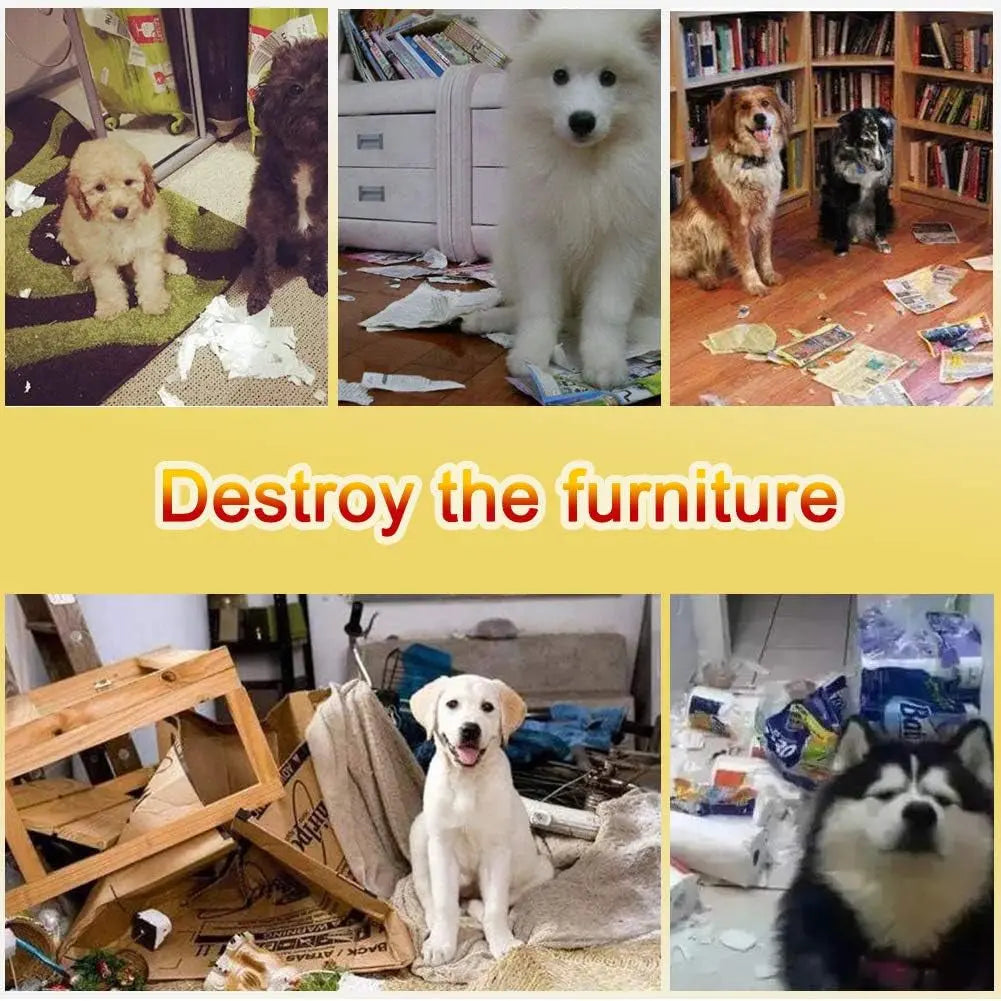 Engaging Pet Snuffle Mat for Dogs - Interactive Foraging Puzzle for Indoor & Outdoor Fun! Shenzhen Zhongji Industrial CO.,Ltd