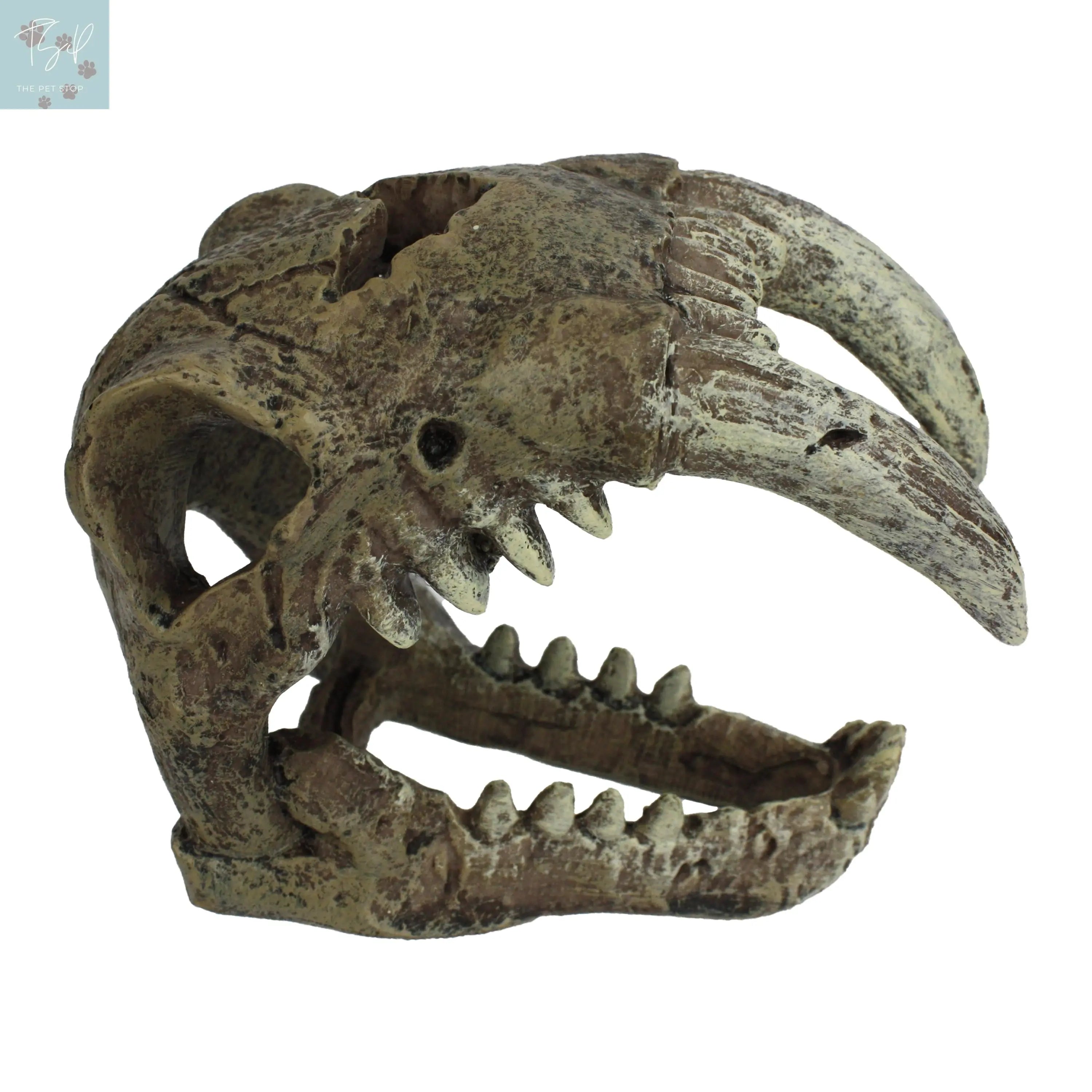 Komodo Saber Tooth Skull Decor for Aquarium or Reptile Tank, Polyresin, Aquarium Decor, Bone Color Multipet International, Inc.
