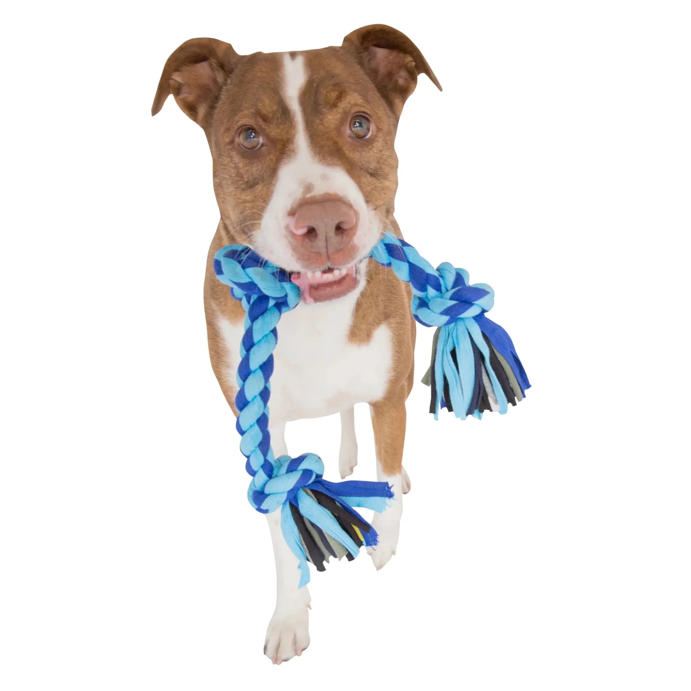 Mammoth Flossy Chews 27" Large 4-Knot Tug Rope Dog Toy - Durable, Interactive Fun for Your Furry Friend! Mammoth Pet Products