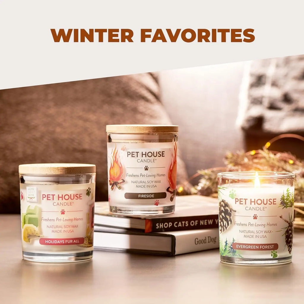 Elevate Your Home with One Fur All's Pumpkin Spice Pet House Candles - Long-Lasting, Eco-Friendly Odor Eliminators (Set of 2) One Fur All