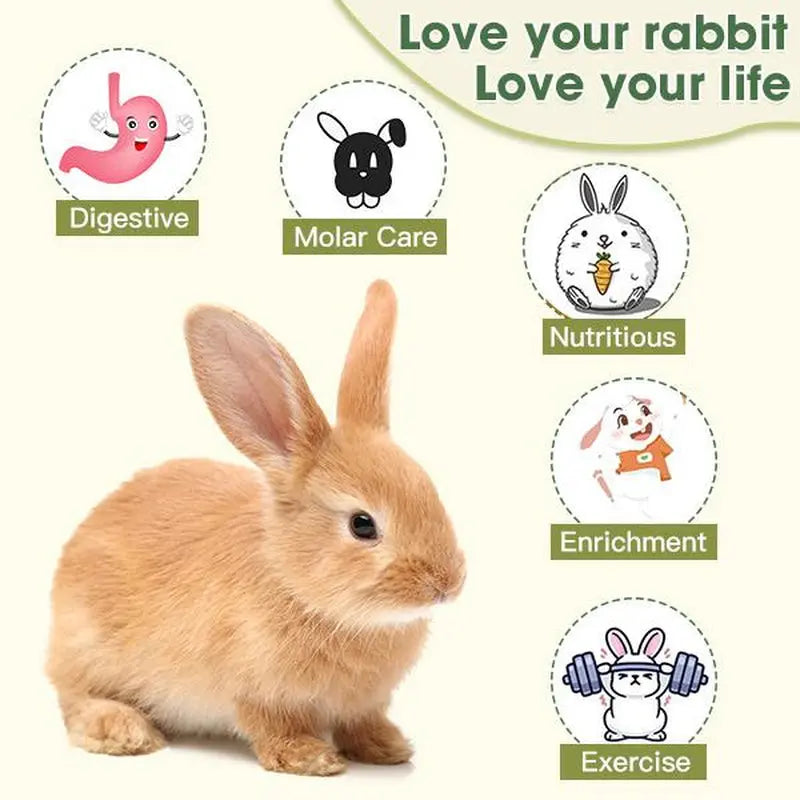 Delight Your Small Pets with Our Sweet Bamboo Woven Hanging Baskets – Perfect Chew Toys for Rabbits, Guinea Pigs, Hamsters, and More! The Pet Stop