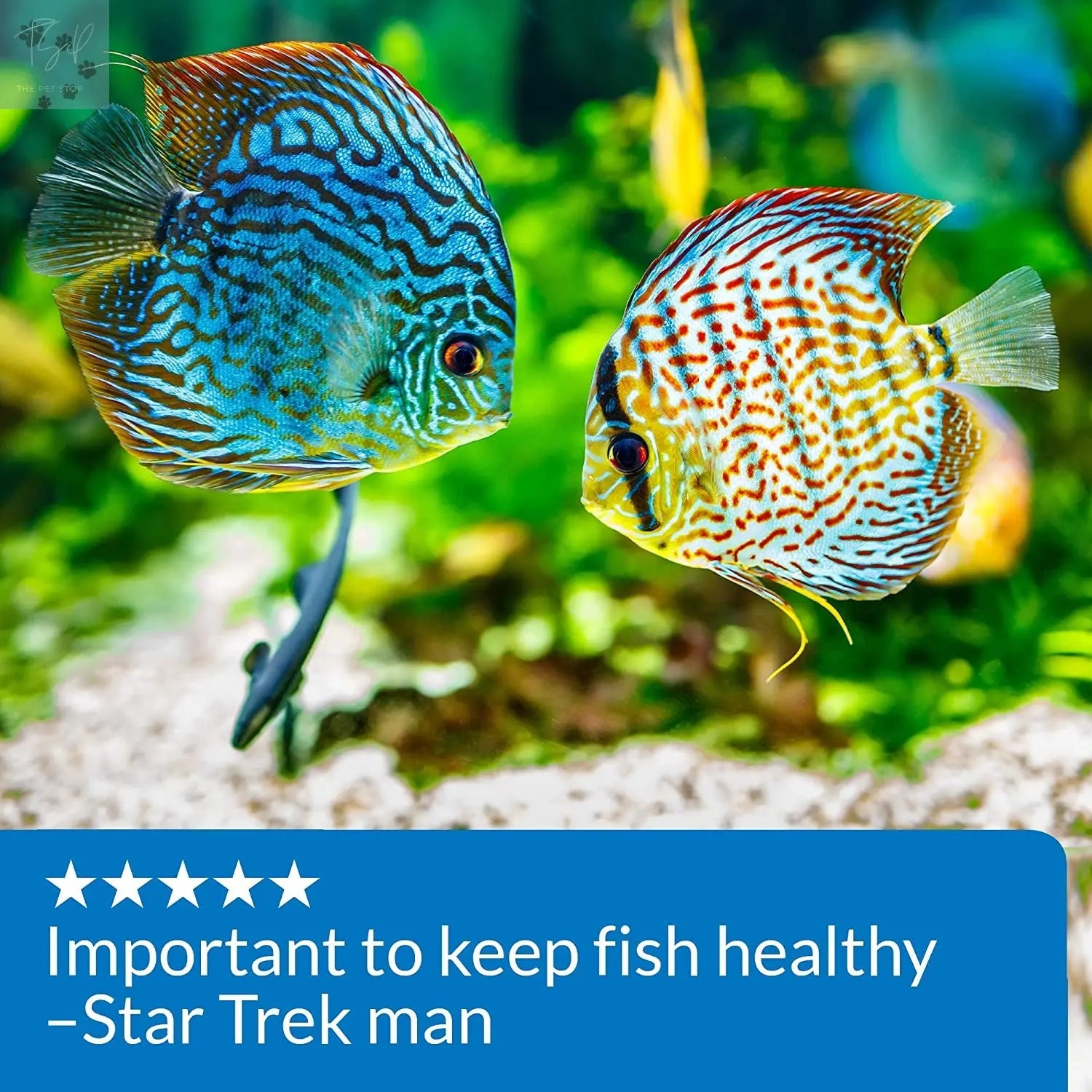 API pH Up Freshwater Aquarium pH Raising Solution - 16 oz Bottle Mars Fishcare