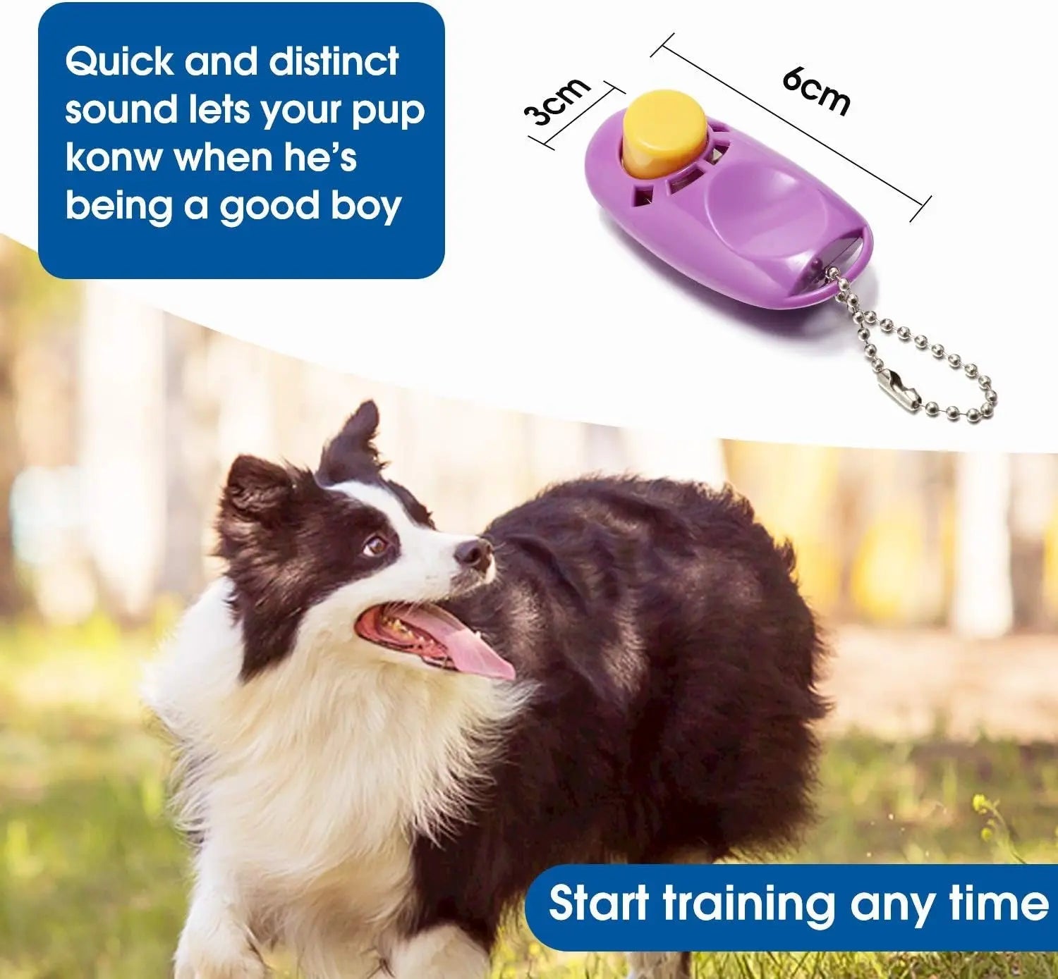 BAAPET 30-Foot Dog Training Leash with Clickers for Small, Medium, and Large Dogs or Cats - Purple Heima