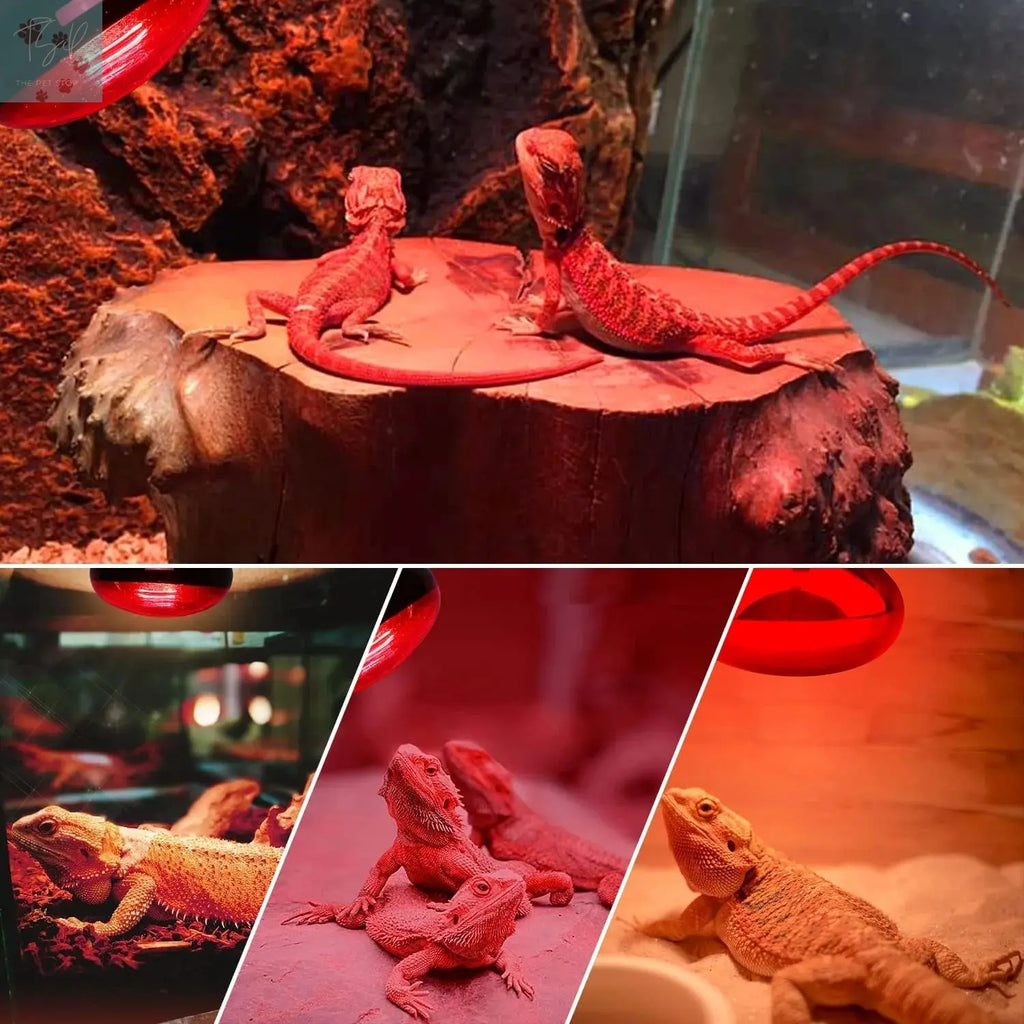 ECOSUB Reptile Heat Lamp 100W, 2Pcs E26 Basking Spot Light, Infrared Heat Lamp, Red bearded dragon tank accessories