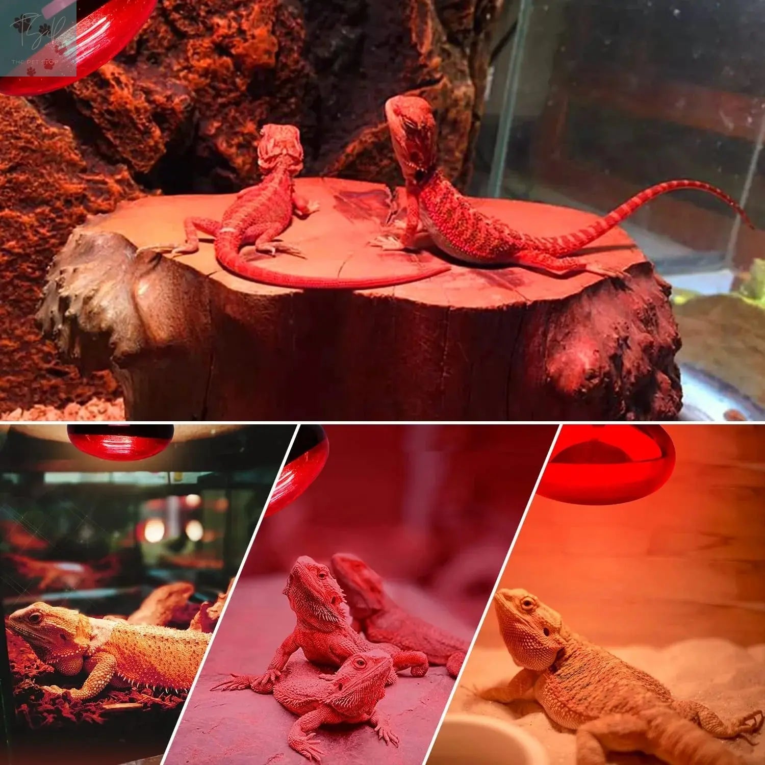 ECOSUB Reptile Heat Lamp 100W, 2Pcs E26 Basking Spot Light, Infrared Heat Lamp, Red bearded dragon tank accessories