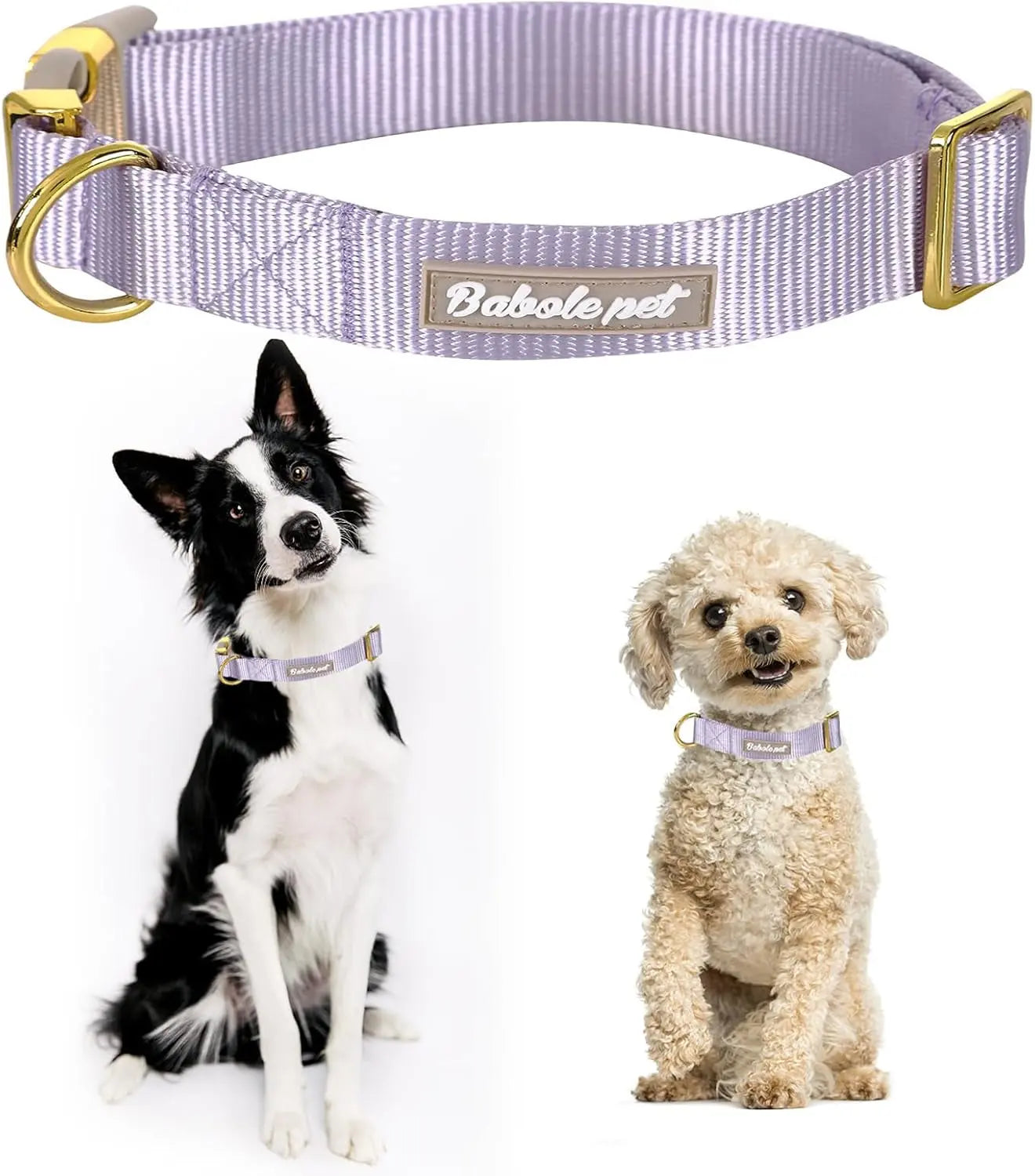 Adjustable Lavender Nylon Dog Collar with Safety Metal Buckle for Small to Large Dogs Babole Pet