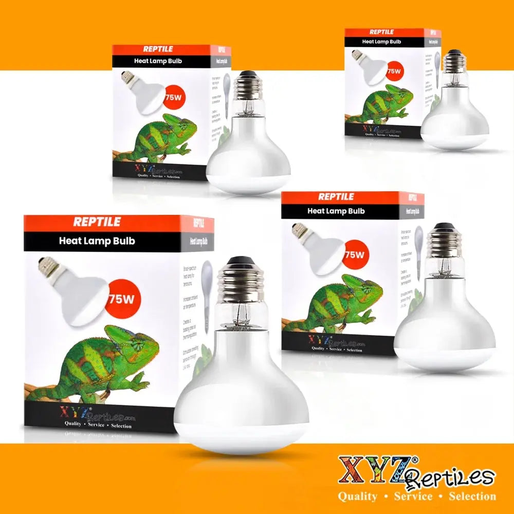 Reptile Heat Lamp Bulb 75 Watt XYZReptiles