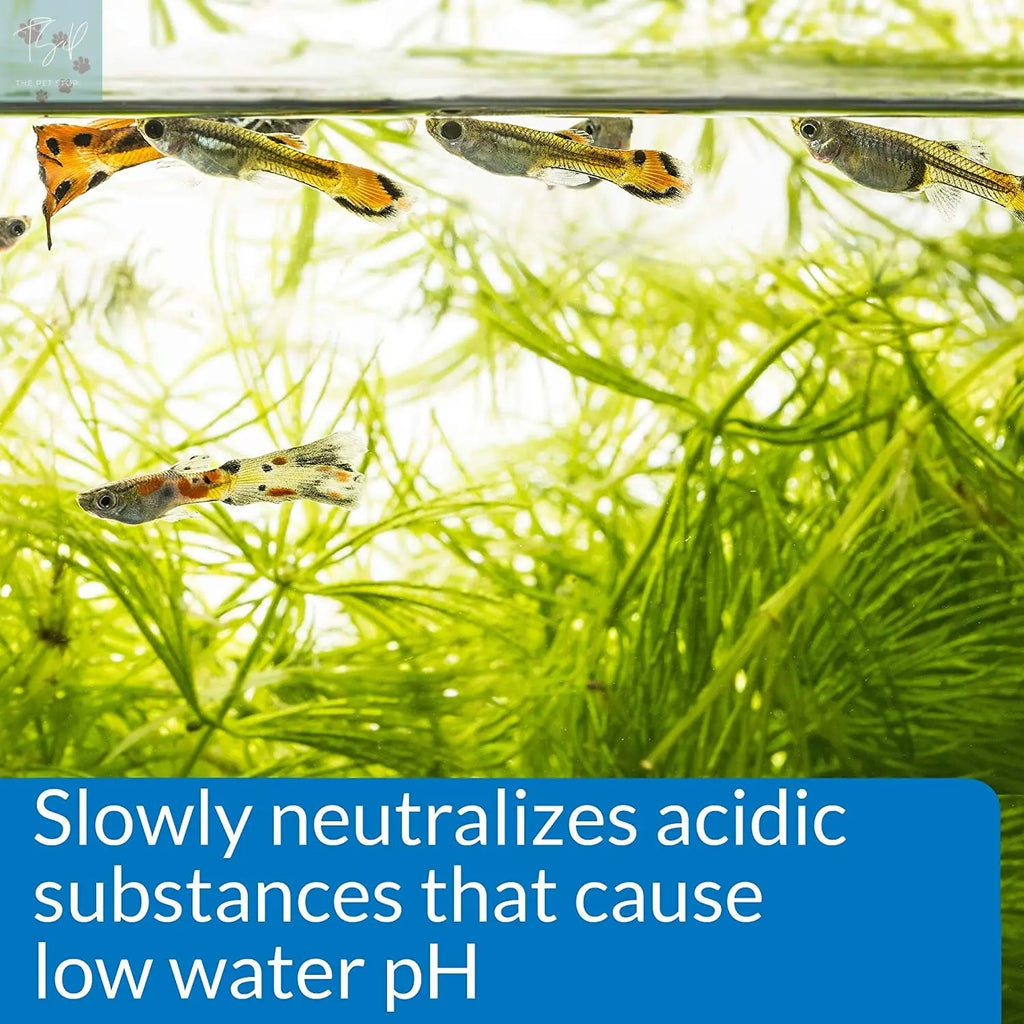 API pH Up Freshwater Aquarium pH Raising Solution - 16 oz Bottle Mars Fishcare