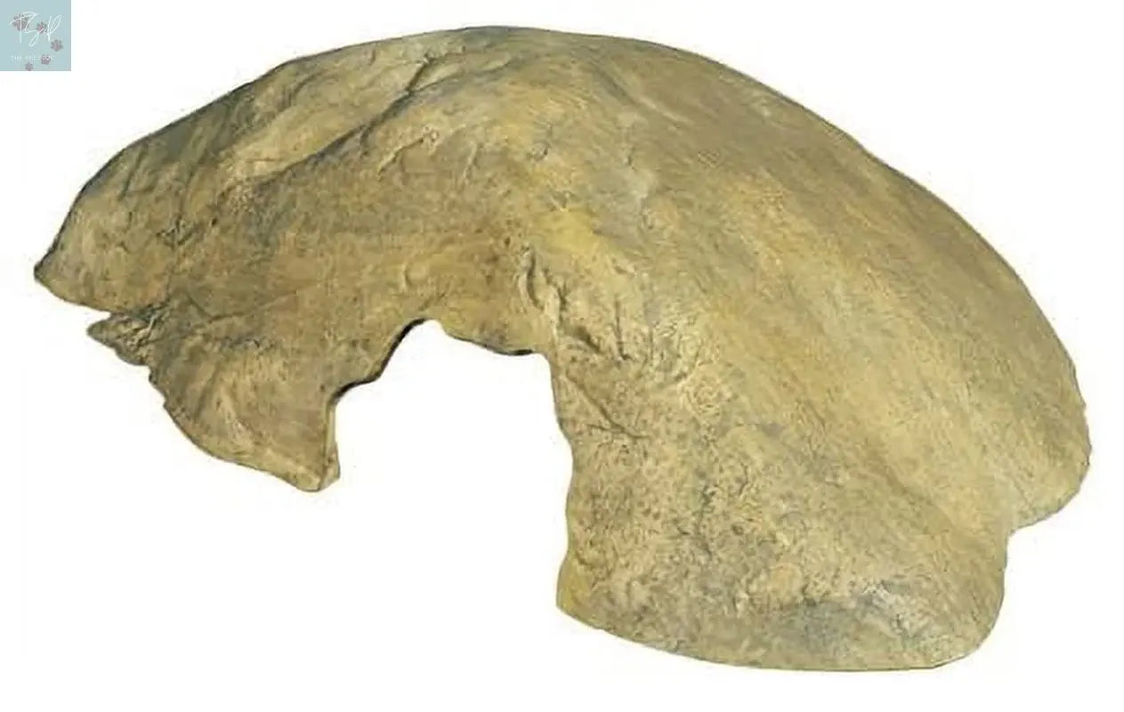 Exo Terra Reptile Cave Medium Hagen