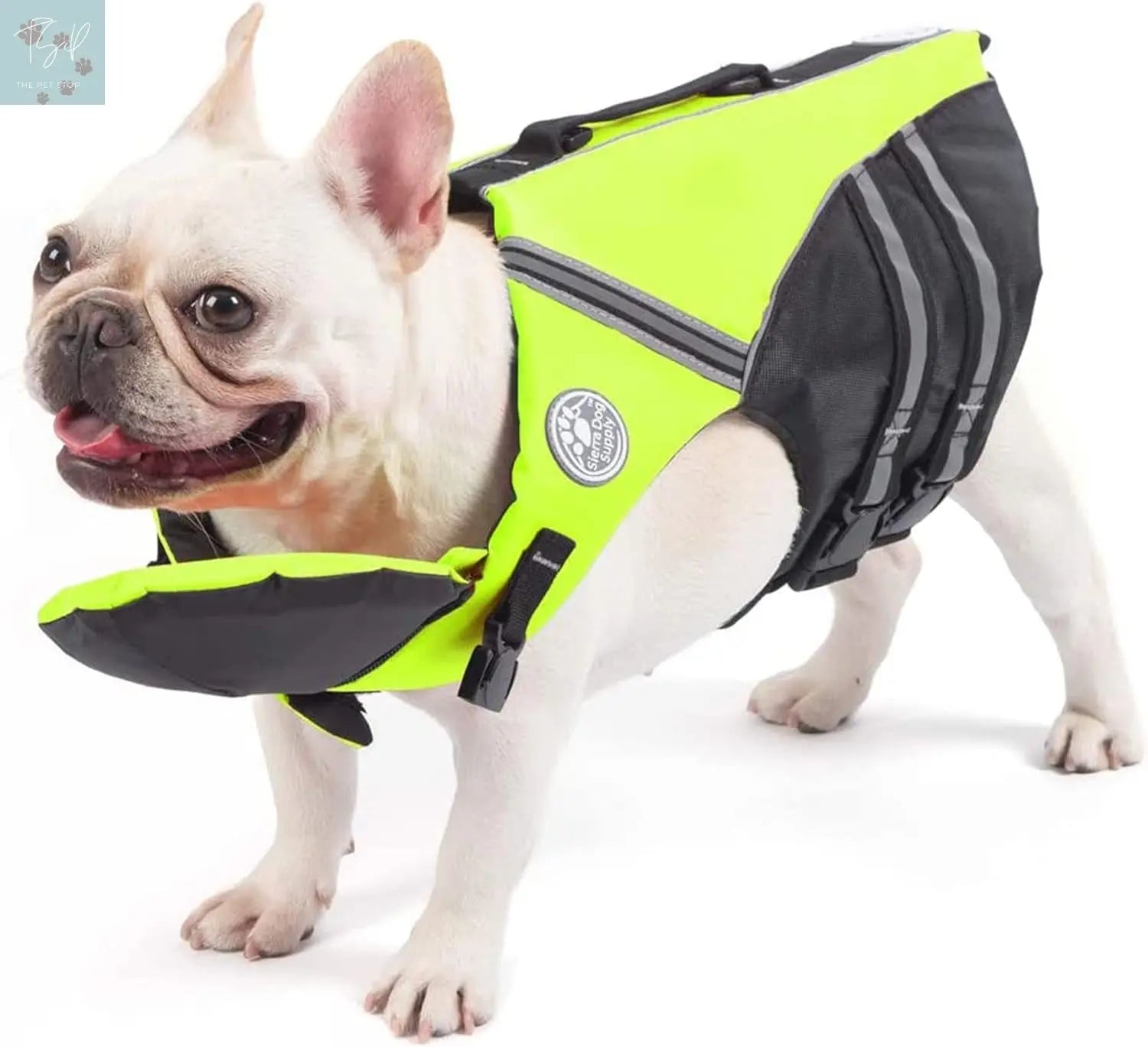 French Bulldog Life Jacket with Chin Float and Rescue Handle - Adjustable High Visibility Flotation Vest for Corgis and Pugs (Green) Petglad