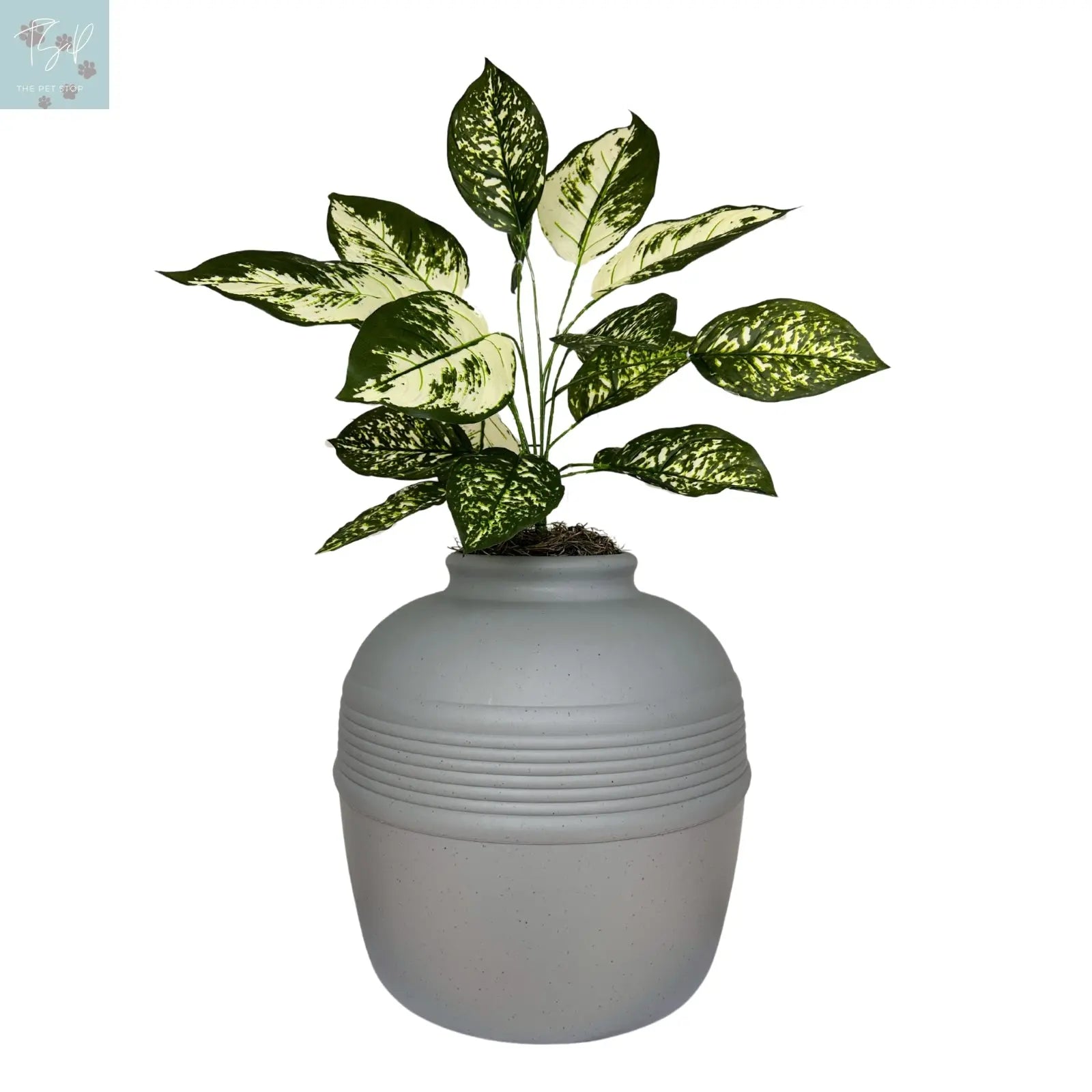 Discreet Litter Box Planter with Hooded Design and Artificial Plant for Pets Does not apply