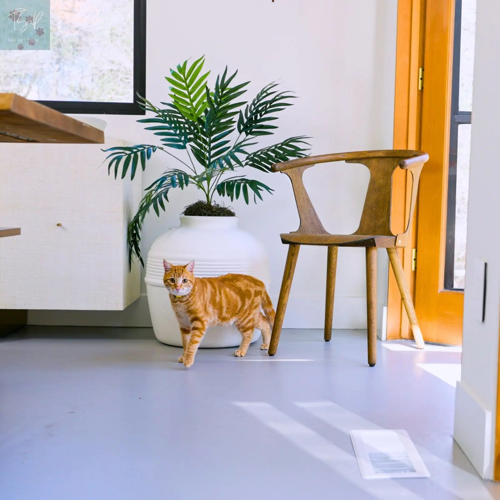 Discreet Litter Box Planter with Hooded Design and Artificial Plant for Pets Does not apply