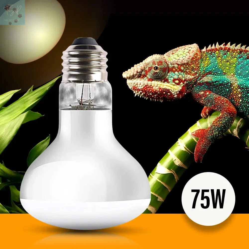 Reptile Heat Lamp Bulb 75 Watt XYZReptiles