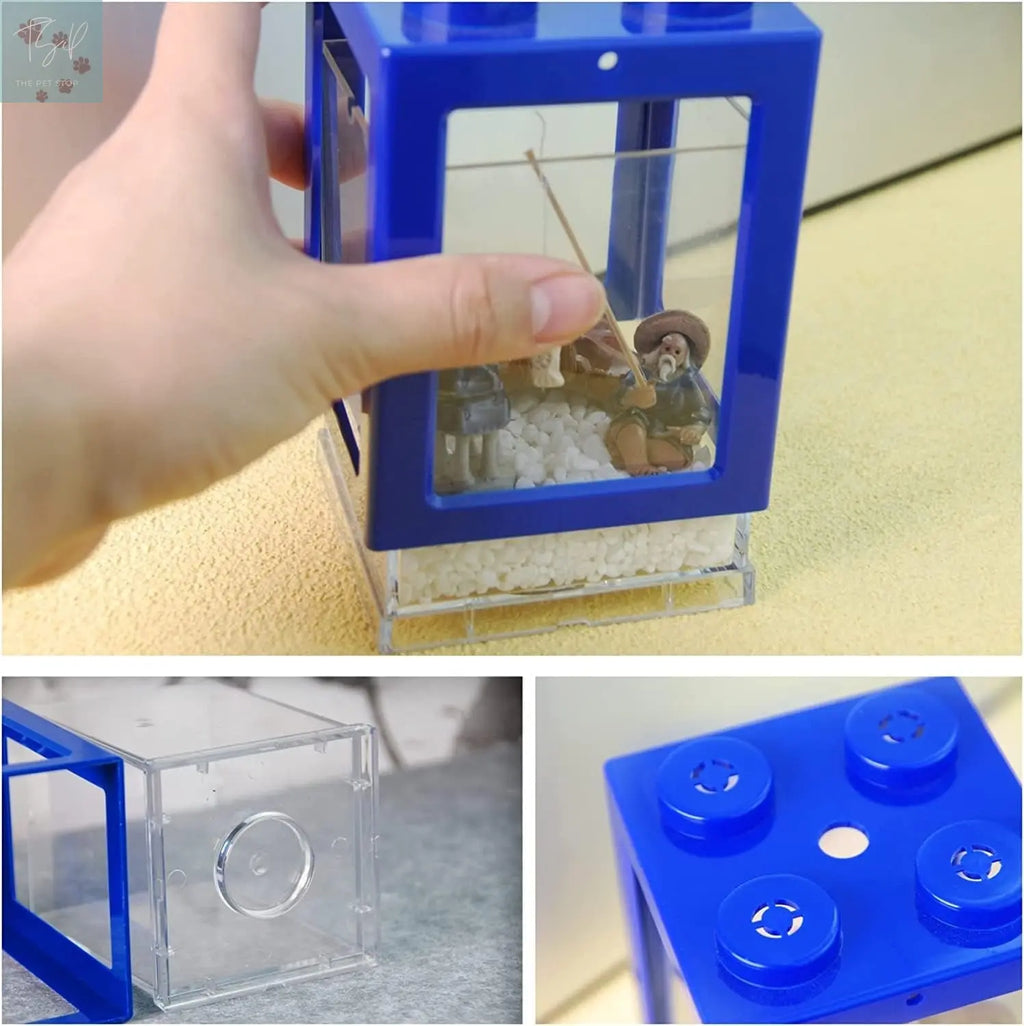Compact Stackable Cube Fish Tank for Betta Fish with Decorative Elements and Ant Feeding Case (Blue) Finding Laurel
