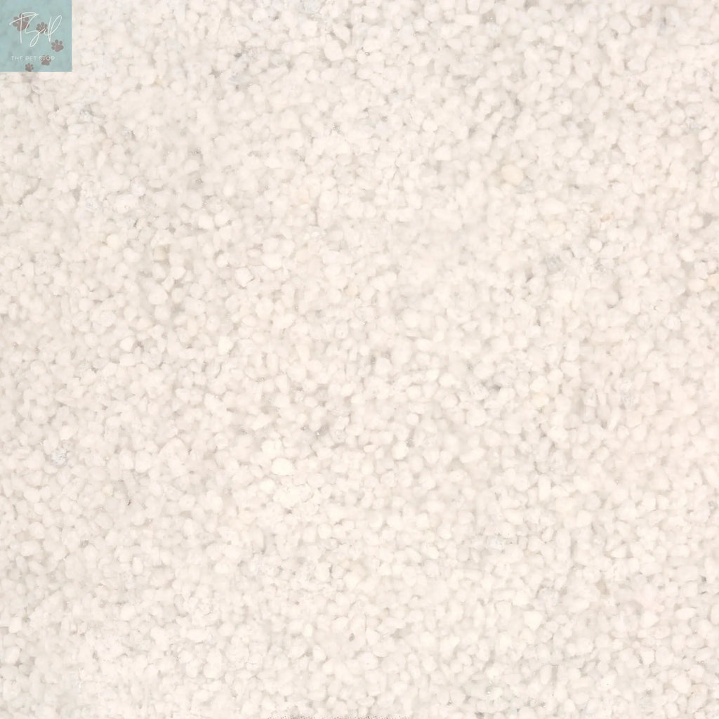 (5 Pack) Repterra White Reptile Sand 5 Lb Bag Wal-Mart Stores, Inc.