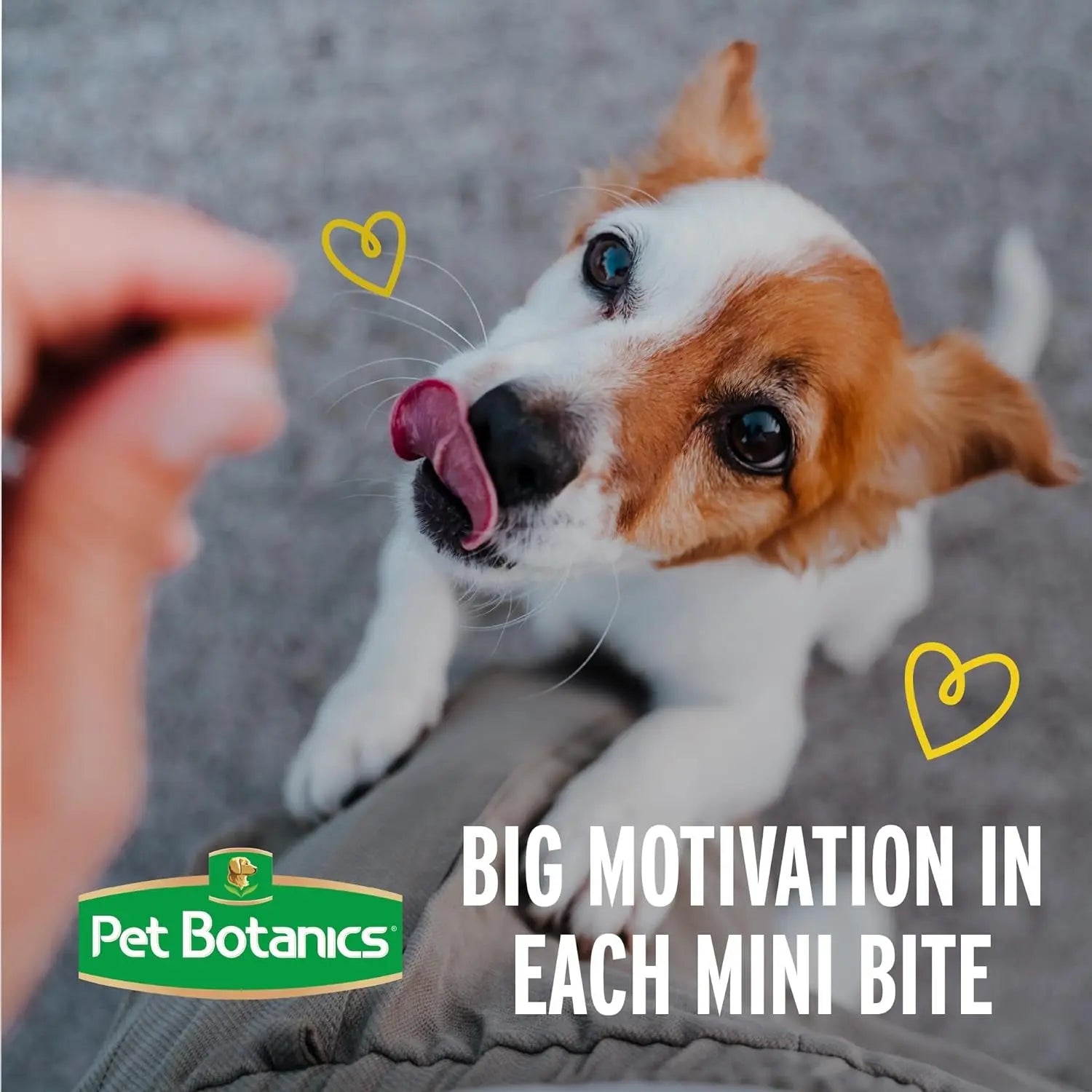 Deliciously Soft & Chewy Training Treats for Dogs - Pet Botanics 10 oz. Mini Chicken Flavor Rewards, Perfect for All Breeds! Pet Botanics