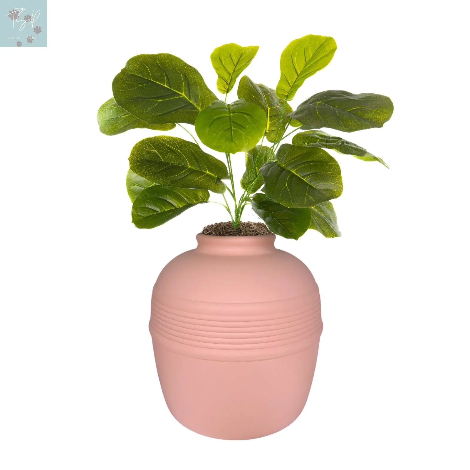 Discreet Litter Box Planter with Hooded Design and Artificial Plant for Pets Does not apply