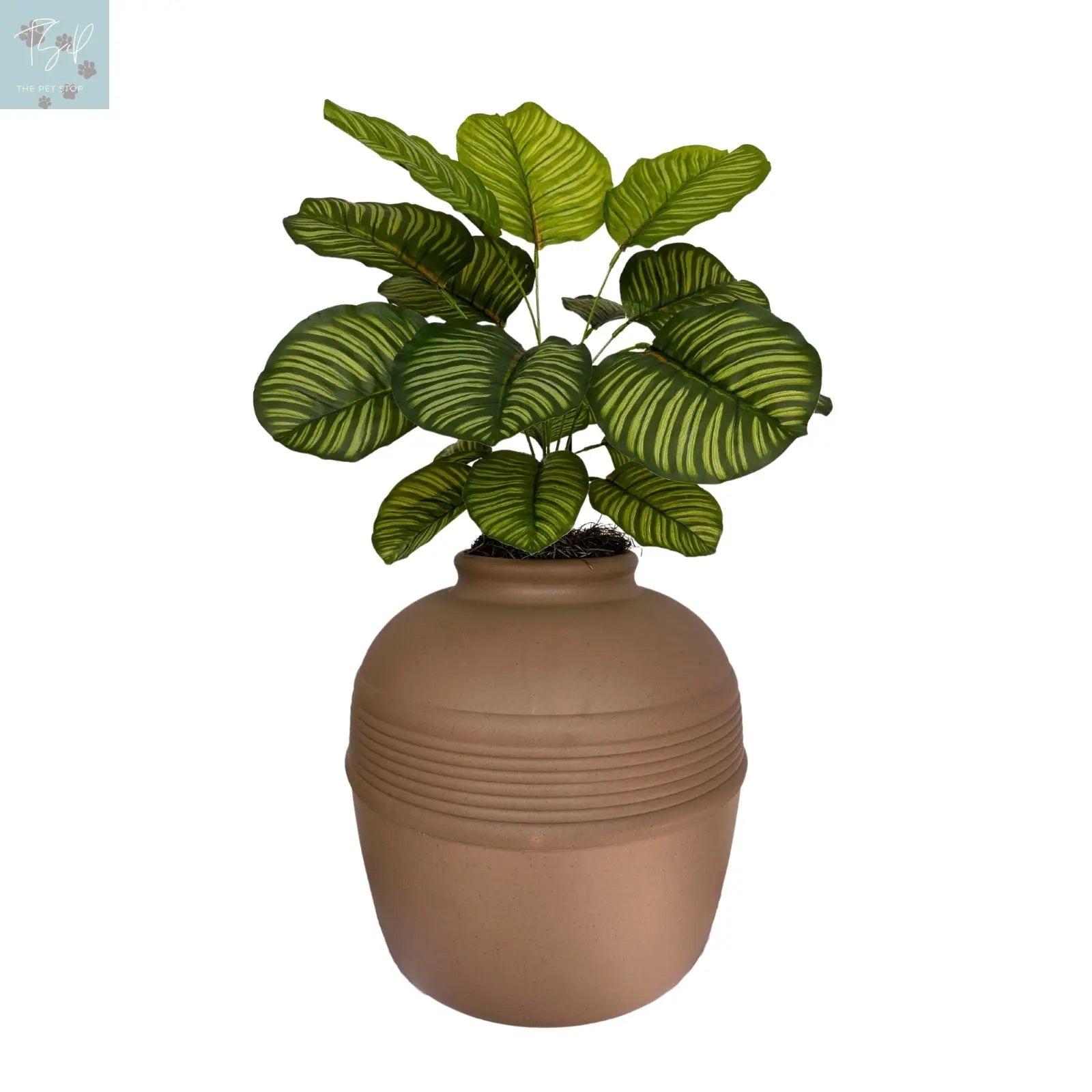 Discreet Litter Box Planter with Hooded Design and Artificial Plant for Pets Does not apply