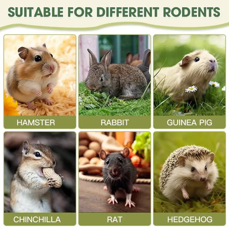 Delight Your Small Pets with Our Sweet Bamboo Woven Hanging Baskets – Perfect Chew Toys for Rabbits, Guinea Pigs, Hamsters, and More! The Pet Stop