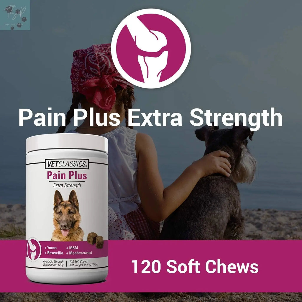 Vet Classics Extra Strength Pain Relief Health Supplement for Dogs - 120 Soft Chews Vet Classics